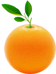 Portakal Sitesi Kızılcaşehir